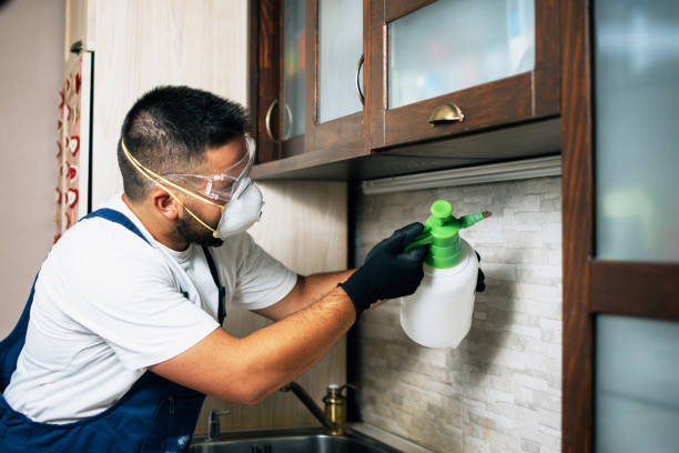 Best Mosquito Control Services  in Sarcoxie, MO