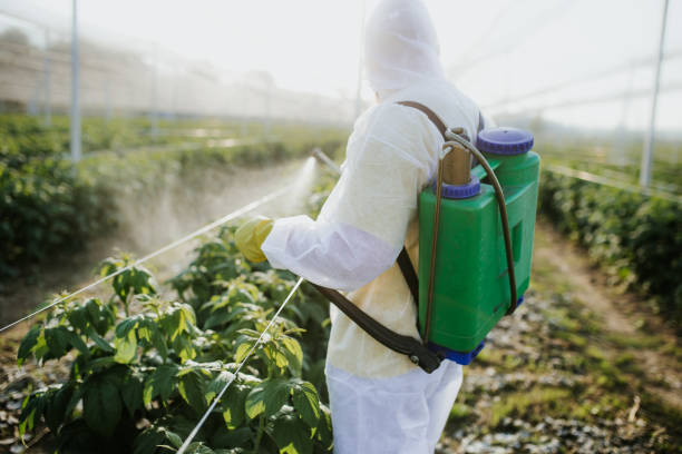 Pest Control for Restaurants in Sarcoxie, MO